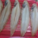 비응도건어물