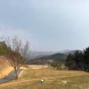 3234 | 가평 샤인데일CC 2번째 라운딩 후기, 코스 비교/데일·샤인·레이크 코스 비교 후기