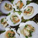 해계머니 이미지