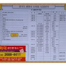 메이저리치안 이미지