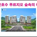 숲속의아침 이미지