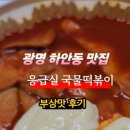 응급실국물떡볶이구평점 | 광명 하안동 맛집 응급실 국물떡볶이 부상맛 후기