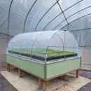 새소리농장 이미지