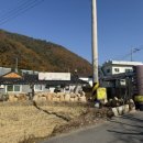 채우리네 | 밀양 맛집 추천 동태찌개 맛집 ’채우리 가든‘ 솔직후기
