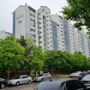 상록메디칼약국 이미지