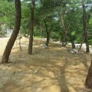 솔바람야영장 이미지