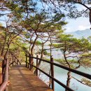 매화공원 이미지