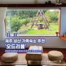 서귀포 가족숙소 오드리물 제주 아이랑 오기좋은 성산 독채펜션