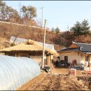 까치구멍집 Daum카페
