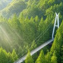 척산족욕공원 Daum카페