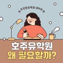 셀리나영어학원 | [호주유학 준비 필수!] 호주유학원이 왜 필요할까? 유학 성공을 좌우하는 유학원 선택 기준까지!