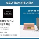 모아여행사