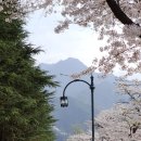 금오산로2-2 이미지