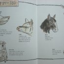 감치농장 이미지