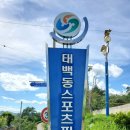 태백동 스포츠파크 이미지