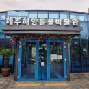 제주해양동물박물관 | 제주도 여행 해양동물을 눈앞에서 볼 수 있는 곳 7살 아이 리얼 후기 | 제주해양동물박물관