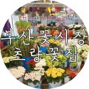 초량꽃집