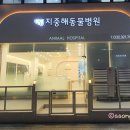 지중해동물병원 이미지