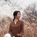 피콜로카네 이미지