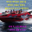 레저주 네이버블로그