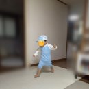 아리래쉬 | [아기 래쉬가드 추천] 아리코베베 올인원 수영복 내돈내산 후기! (+플랩캡까지 완벽 준비🌞)