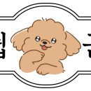 어브로겟