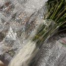 식송농장 이미지