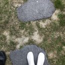 고찌글라 | 제주 함덕 숙소 추천 :: 함덕해수욕장 2분거리의 독채 에어비앤비, 스테이 고찌글라 (강력 추천!)💓