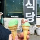 이씨식당(EC SIC-DDANG) | 충주 이씨식당 쭈꾸미볶음+치즈 진짜 맛집 인정(웨이팅, 주차, 오픈시간)