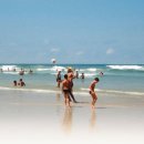 팀승전보 이미지