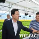 장암팜 이미지