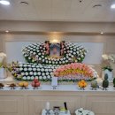 삼일병원 이미지