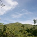 원지경호탕 이미지