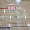 도천초등학교 티스토리