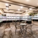 유앤미펫 고양이분양 강아지분양 인천본점 이미지