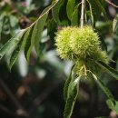 별망성지 이미지