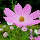 지방도925호선 이미지