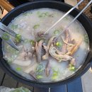 소동맛짬뽕 | 아이와 가기 좋은 선재도 캠핑장 트리캠핑장 ㅣ 명당 자리와 숲속 힐링 2박 3일 후기