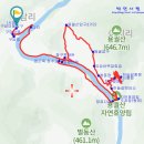 3/16(일) 임실/순창 섬진강 매화마을길+용궐산 하늘길 ＜아름다운 우리길 100선＞ 이미지