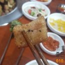 꽃돼지세상