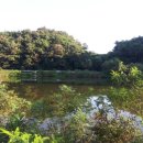 독골저수지 이미지