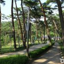 자연환경산업(주) 이미지