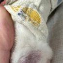 유스동물병원 이미지