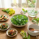 입맛 살리는 우리집 건강 식탁 | 돌나물 효능 7가지와 부작용, 봄철 입맛 살리는 레시피까지 총정리!