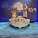 하이에나 PC | 연극 <라이프 오브 파이>결말, 줄거리, 후기 - 리차드 파커와 파이의 믿기 힘든 생존 쇼~타임