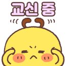 김미현임대