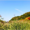 자연생태박물관 내 화장실 이미지