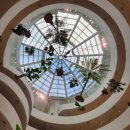 솔로몬정보시스템 | 뉴욕 미술관 추천 구겐하임 미술관 예약 무료 입장 후기