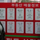 박형기부동산