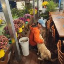 스마트종묘사 이미지